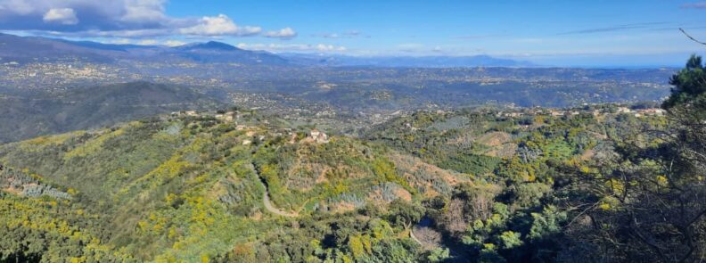 Panoramic view over the Massif du Tanneron with winding road through mimosa-covered hills and inland Provence landscape
