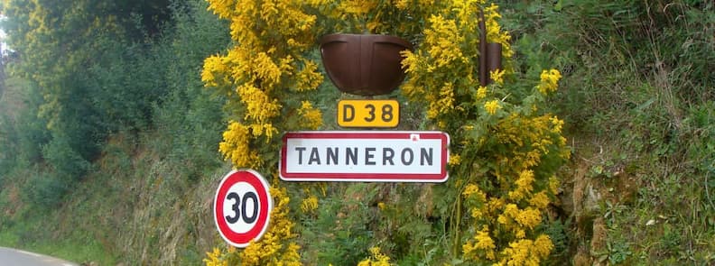 Tanneron village road sign on the D38 road surrounded by blooming yellow mimosa bushes in winter