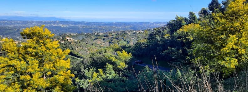 Wide view over the Tanneron hills covered with mimosa trees and forested valleys under a clear blue sky