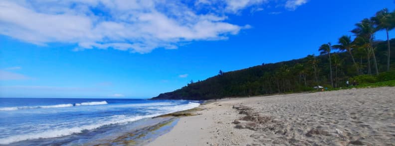 Wide sandy beach at Grande Anse on the south coast of Réunion Island with palm trees and open ocean