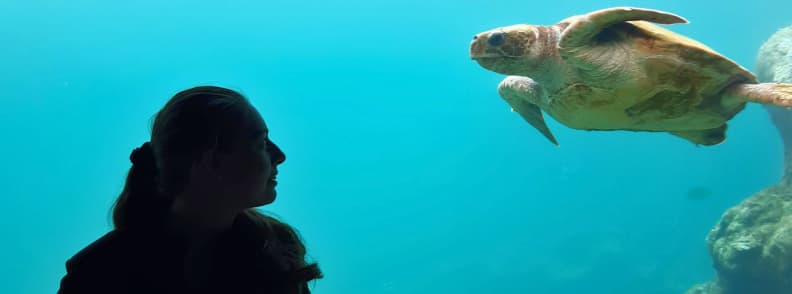 The Travel Bunny Mirela Letailleur observing a sea turtle at Kelonia marine turtle sanctuary in Saint-Leu on Réunion Island
