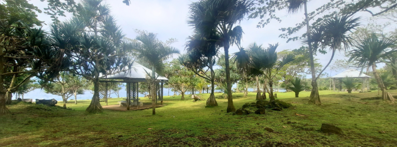 Picnic gazebos at La Cayenne on Reunion East Coast along wild lava coast route