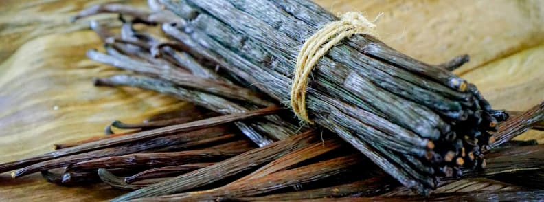 Close up of Reunion Bourbon vanilla pods tied in bundle showing cured dark beans