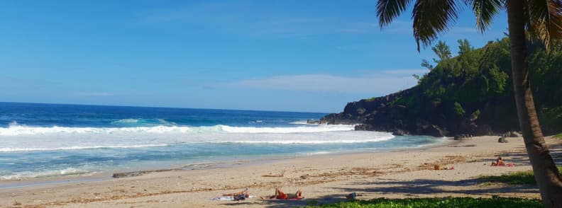 Sandy beach with waves and palm trees along the west to south coast of Réunion Island
