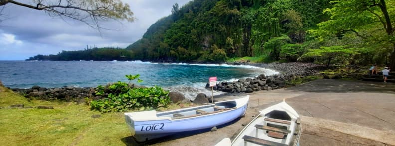 Anse des Cascades Reunion East Coast coastal view with small boats palm grove and rocky shoreline