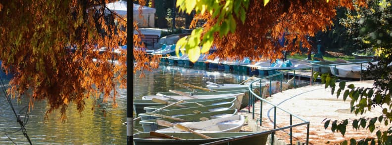 Bucharest at night without partying at Cișmigiu Gardens, quiet lake with rowboats and trees in a calm evening setting