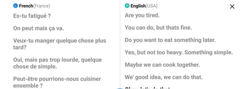 Timekettle W4 AI Interpreter Earbuds offline translation showing English French conversation results in real use.