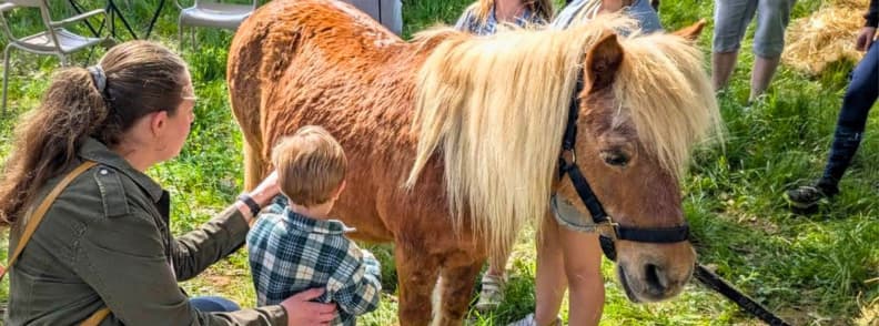 Foire de Brignoles guide for families. Mirela Letailleur and her son petting a pony at the Foire de Brignoles pony club, surrounded by handlers and a grassy outdoor setting.