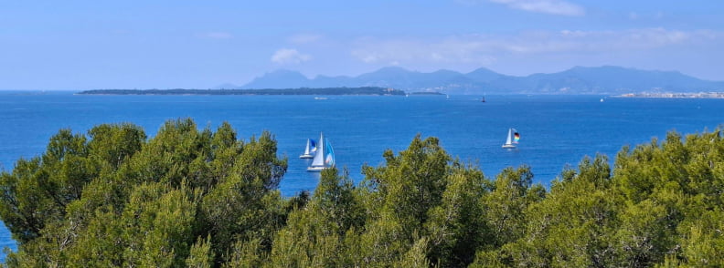 Cap Antibes Golfe Juan View Posidonia Antibes Cap d’Antibes Golfe Juan view from Posidonia Antibes, with pine trees, blue sea, sailing boats, and the distant Riviera coastline from the Graillon tower.