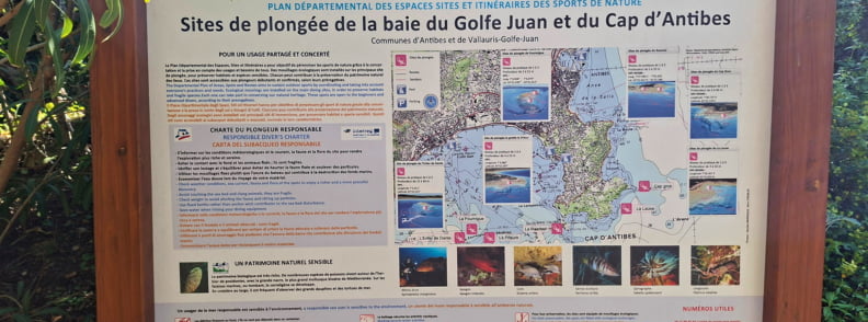 Cap Antibes Snorkeling Batterie du Graillon Snorkeling and diving sites map for the bay of Golfe Juan and Cap d’Antibes, showing guided randonnée subaquatique areas near Batterie du Graillon and Posidonia Antibes.