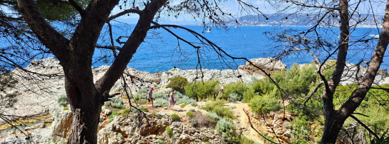 Posidonia Antibes Coastal Path Cap Antibes Sentier Littoral Cap d’Antibes coastal path near Posidonia Antibes, with walkers on the rocky shoreline, pine trees, blue sea, and Mediterranean coastal views.