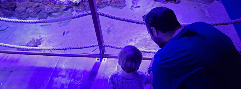 Posidonia Antibes Fish Bridge Aquarium Adult and toddler watching fish from the small bridge inside the Mediterranean aquarium at Posidonia Antibes, with blue-purple lighting and rope handles around the open tank.