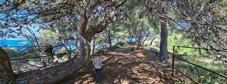 Posidonia Antibes Pine Grove Botanical Path Child walking through the shaded pine grove and botanical path at Posidonia Antibes, with Mediterranean trees, sea views, and the coastal nature trail on Cap d’Antibes.