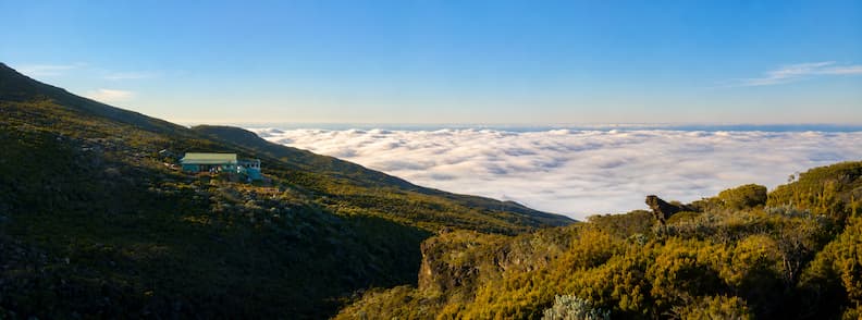 Refuge de la Caverne Dufour perched on a mountain ridge in La Réunion above a sea of clouds, surrounded by alpine vegetation.