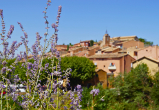 Hill village in Provence-Alpes-Côte d’Azur surrounded by lavender and Mediterranean greenery in the South of France.