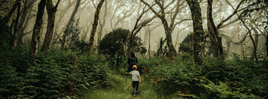sustainable tourism la reunion unesco hiking Hikers walking through a misty forest in La Réunion surrounded by dense vegetation inside the island’s protected UNESCO landscapes.