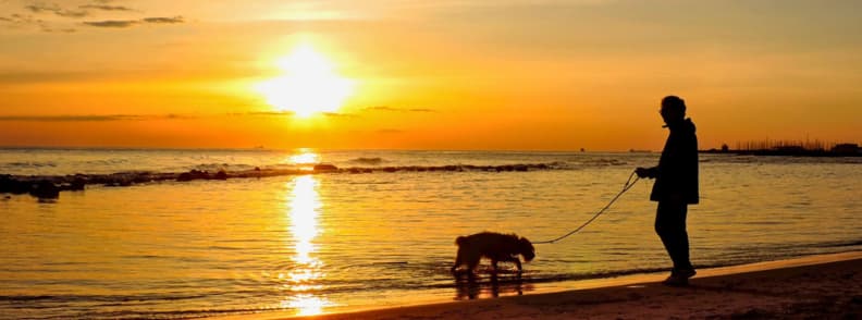 Silhouette of a person walking a dog through shallow water at sunset on a sandy beach near Rome.