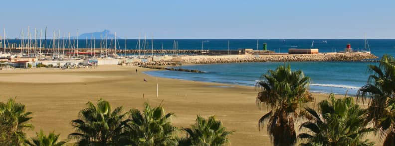 Wide sandy Nettuno beach near Rome with palm trees, Marina di Nettuno sailboats, calm blue water, and harbour breakwaters.