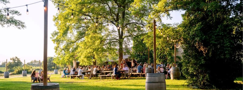 Guests eating and drinking at picnic tables beneath trees during Les Musicales dans les Vignes before a Provence vineyard concert.