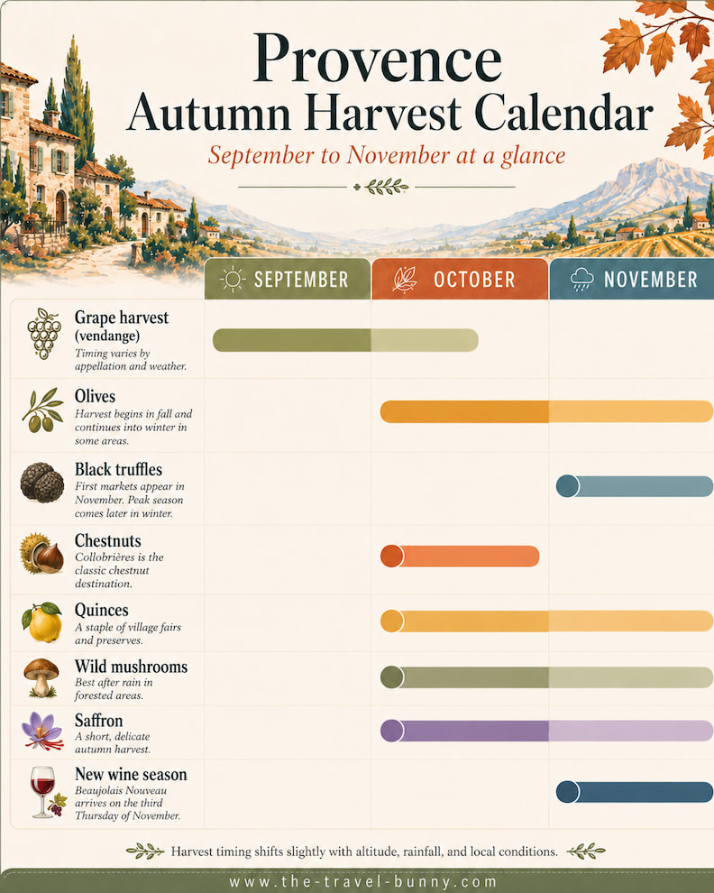 Provence Autumn Harvest Calendar Wine Truffles Olives Saffron Provence autumn harvest calendar showing grape harvest, olives, black truffles, chestnuts, quinces, wild mushrooms, saffron, and new wine from September through November.