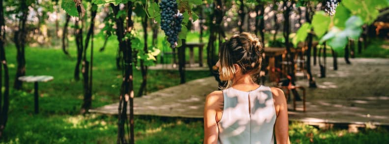 Woman in a sleeveless summer dress walking beneath grapevines in a shaded vineyard, with ripe grapes hanging overhead.
