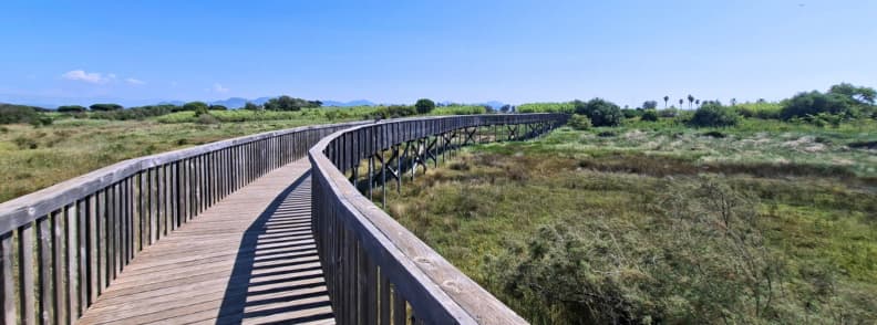 Curving wooden boardwalk crossing the green Étangs de Villepey wetlands near Saint-Aygulf under a clear blue summer sky.