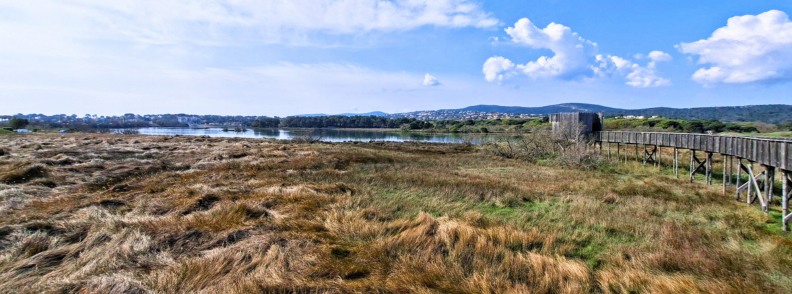 Wide view of the Étangs de Villepey wetlands with lagoon water, reed beds, grasses and a wooden wildlife observation deck near Saint-Aygulf.