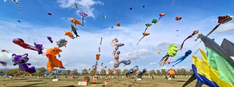 Frejus Kite Festival Best Photo Spots and Giant Kites Colorful giant character kites flying above the open fields at the Fréjus International Air Festival, with spectators spread around Base Nature François Léotard.