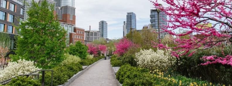 Rose Kennedy Greenway Boston Spring Gardens Flowering trees and landscaped gardens along a walking path on the Rose Kennedy Greenway in downtown Boston.